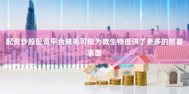 配资炒股配资平台腋毛可能为微生物提供了更多的附着表面
