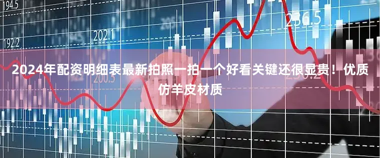 2024年配资明细表最新拍照一拍一个好看关键还很显贵！优质仿羊皮材质