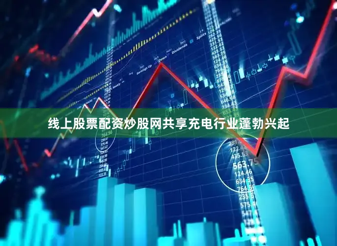 线上股票配资炒股网共享充电行业蓬勃兴起