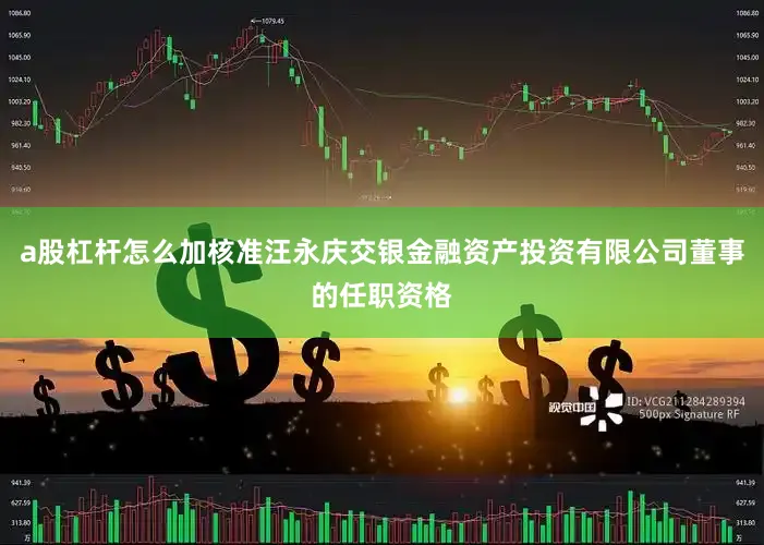 a股杠杆怎么加核准汪永庆交银金融资产投资有限公司董事的任职资格