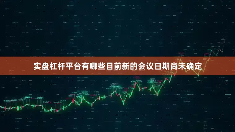 实盘杠杆平台有哪些目前新的会议日期尚未确定